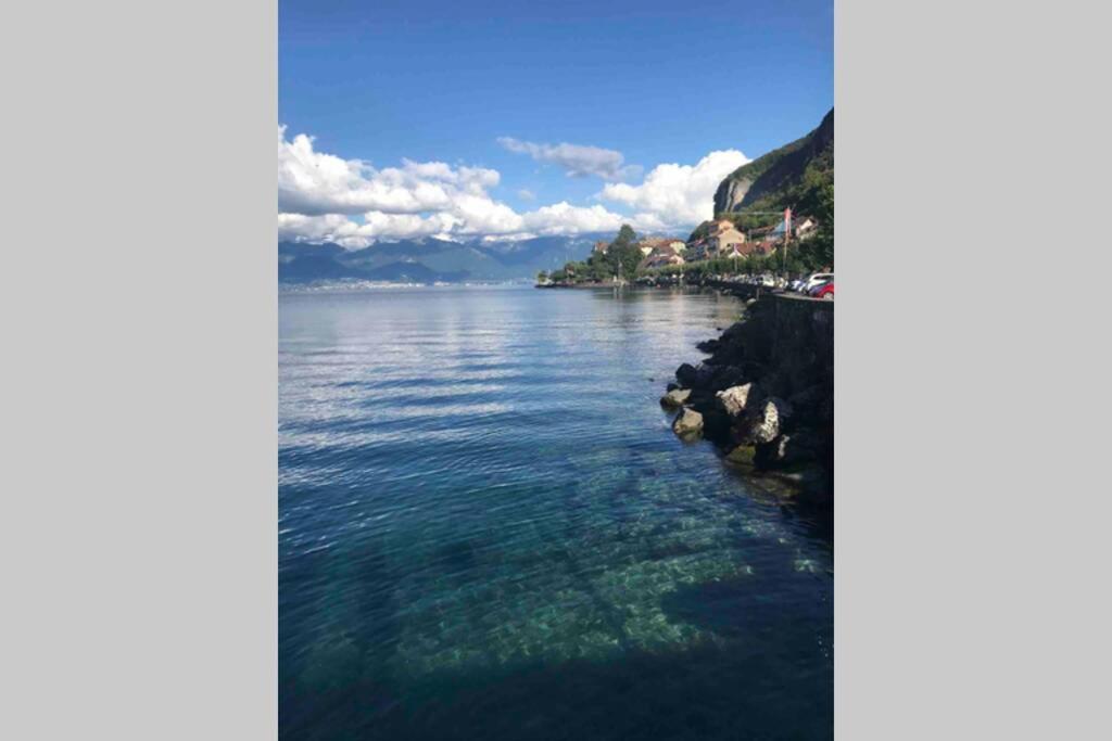 Duplex En Station Vue Sur Lac Leman Thollon-les-Memises Exterior foto