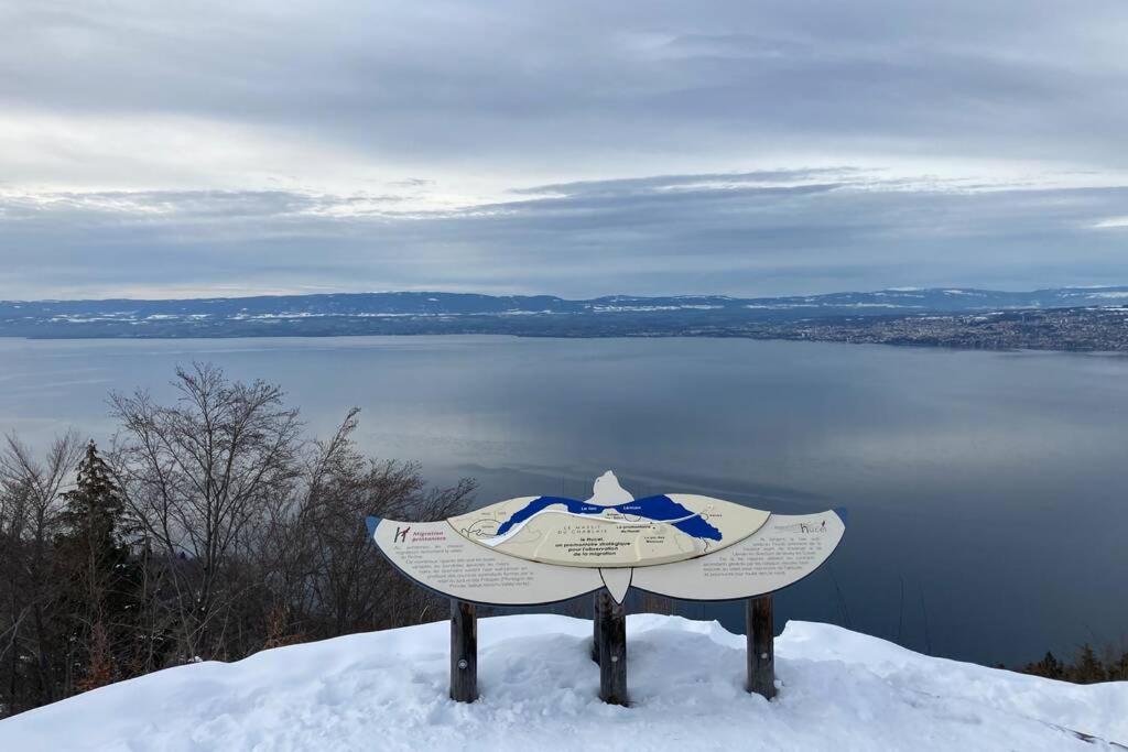Duplex En Station Vue Sur Lac Leman Thollon-les-Memises Exterior foto
