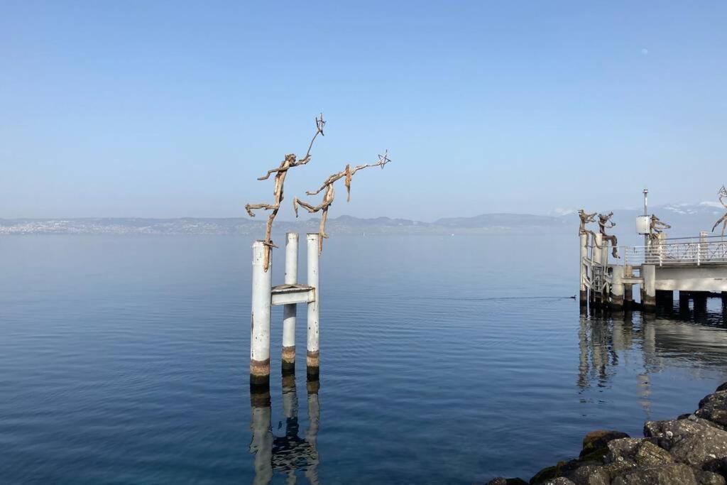 Duplex En Station Vue Sur Lac Leman Thollon-les-Memises Exterior foto