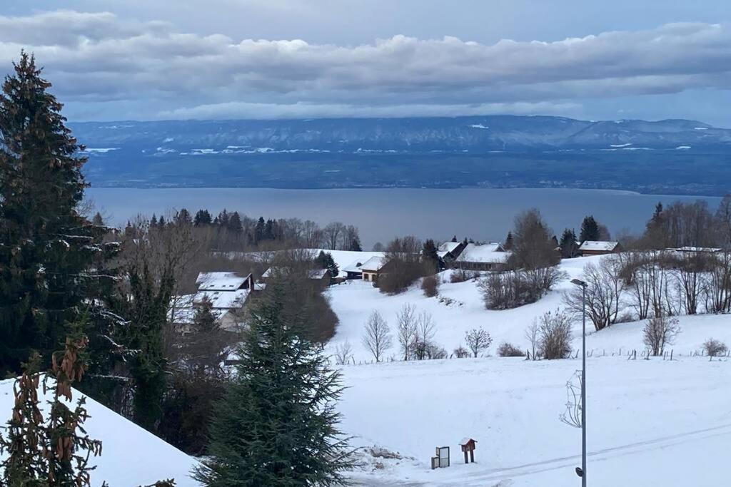 Duplex En Station Vue Sur Lac Leman Thollon-les-Memises Exterior foto