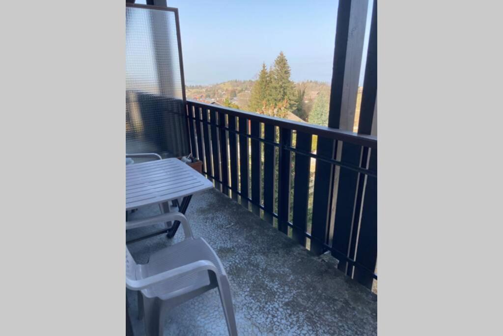 Duplex En Station Vue Sur Lac Leman Thollon-les-Memises Exterior foto